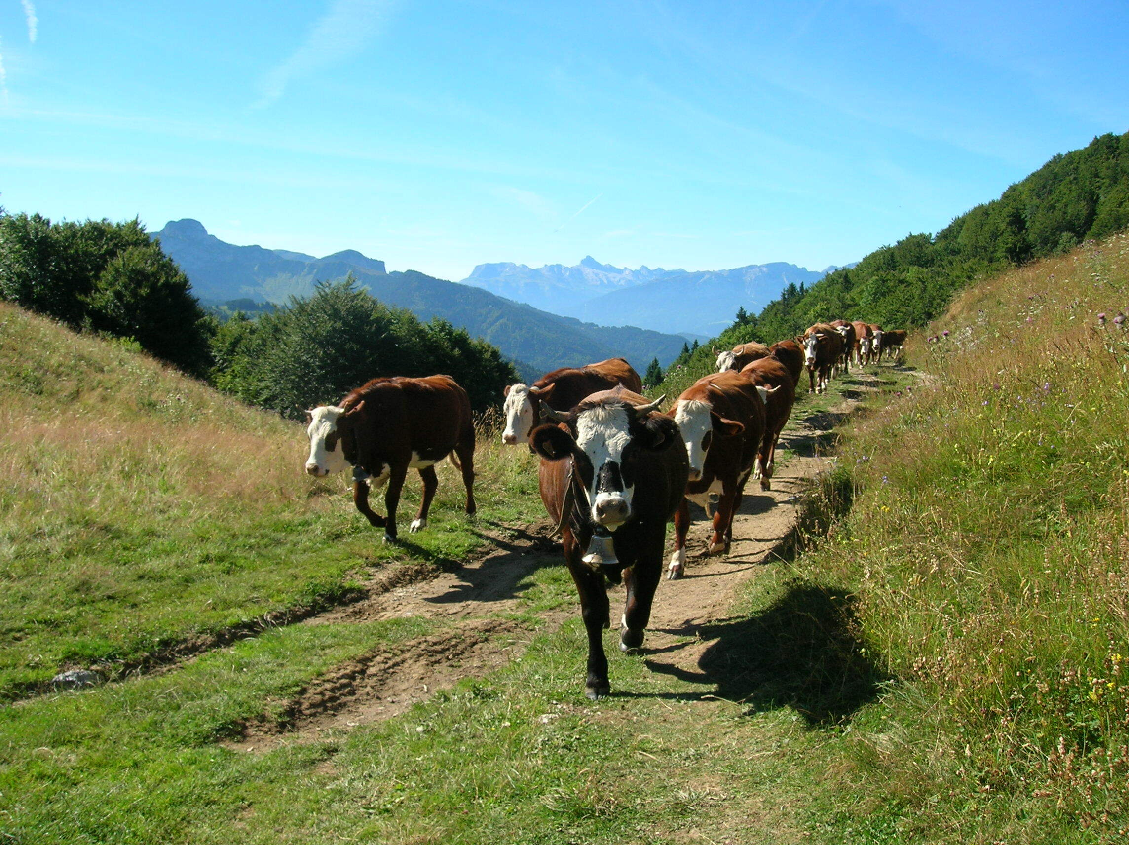 Randonn�e, VTT, sensations : vivez la montagne � 100%&nbsp;.